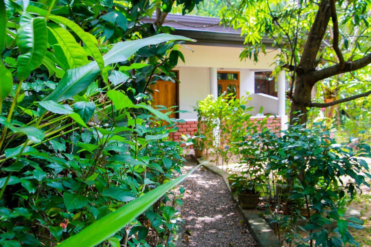 Galaxy View Homestay Sigiriya Dış mekan fotoğraf