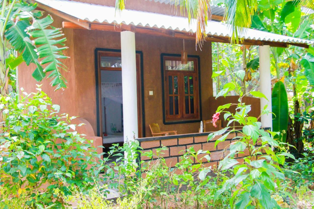 Galaxy View Homestay Sigiriya Dış mekan fotoğraf