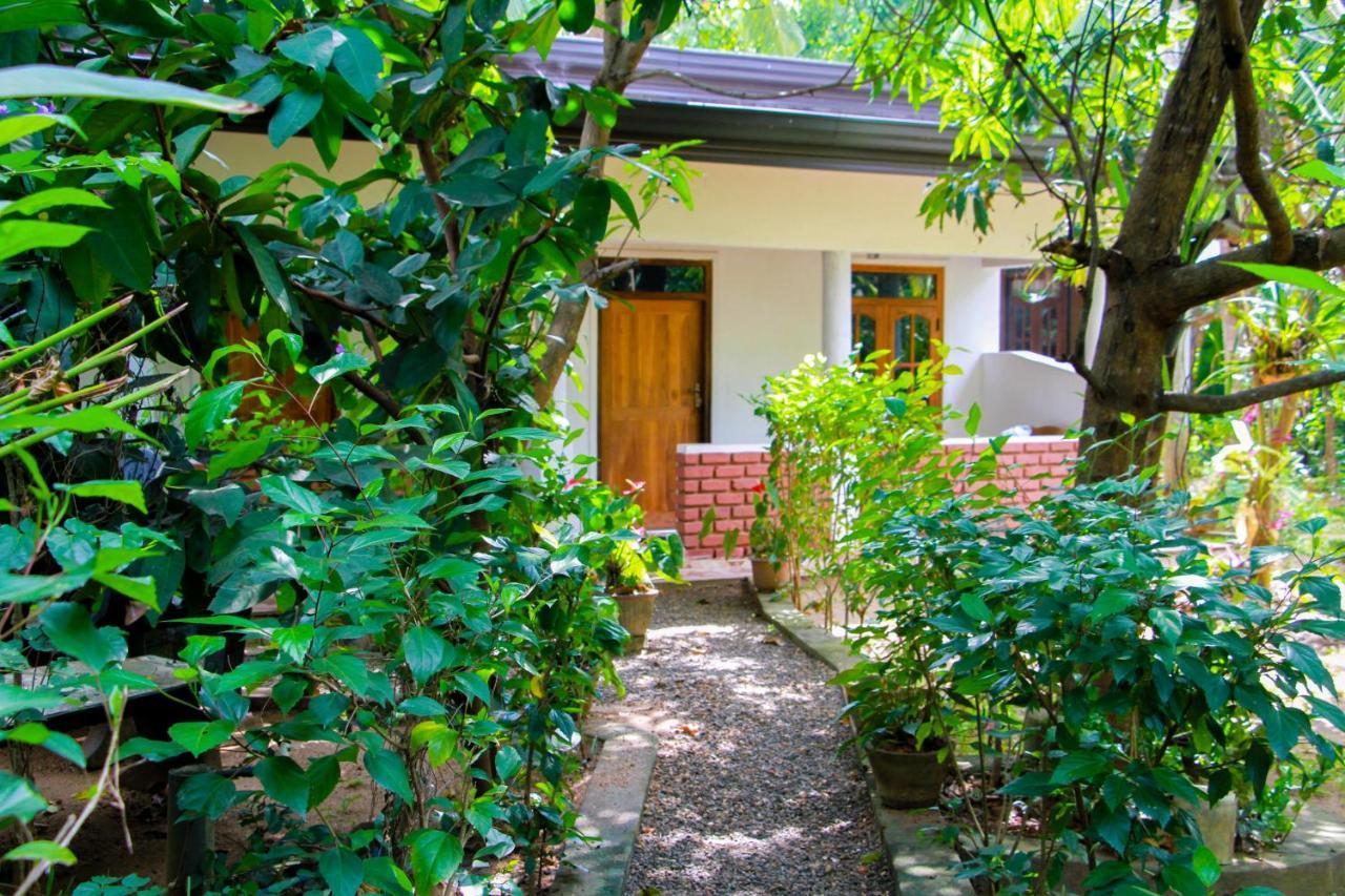 Galaxy View Homestay Sigiriya Dış mekan fotoğraf