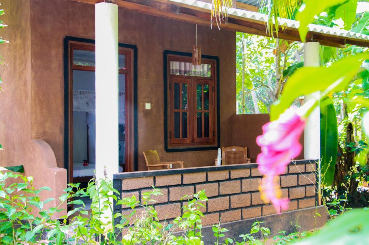 Galaxy View Homestay Sigiriya Dış mekan fotoğraf