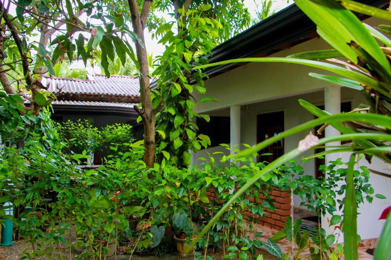 Galaxy View Homestay Sigiriya Dış mekan fotoğraf