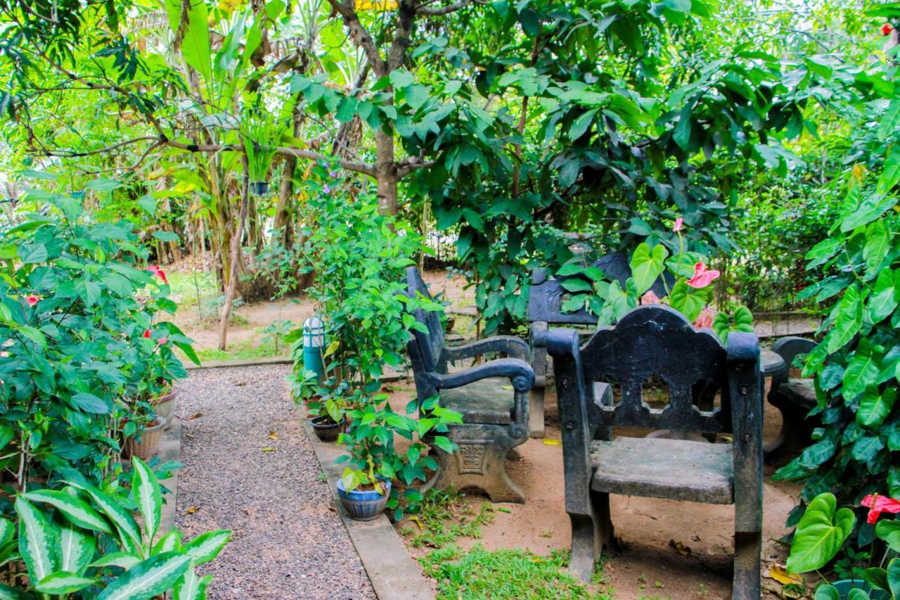 Galaxy View Homestay Sigiriya Dış mekan fotoğraf